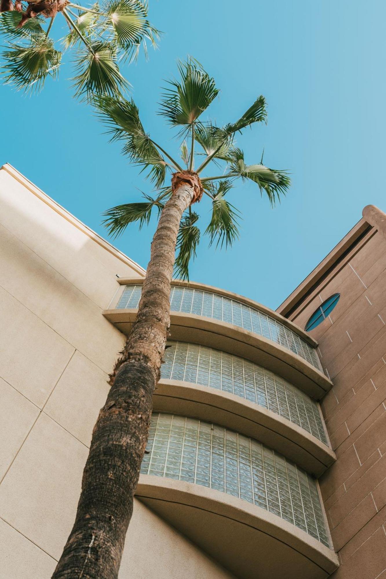 Courtyard Angeles Lax\u002fcentury Boulevard Los Ángeles